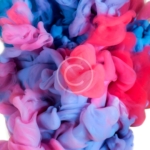 A Sentimental Journey